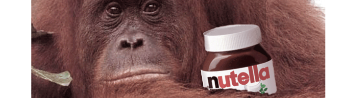 Les orangs outans digèrent mal le Nutella ! - Le journal de la